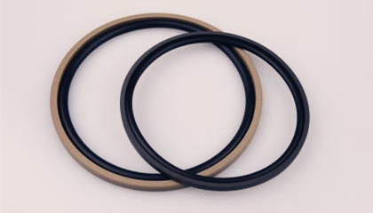 為什么密封系統(tǒng)中需使用斯特封密封圈？